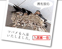 ĥХ路ޤ